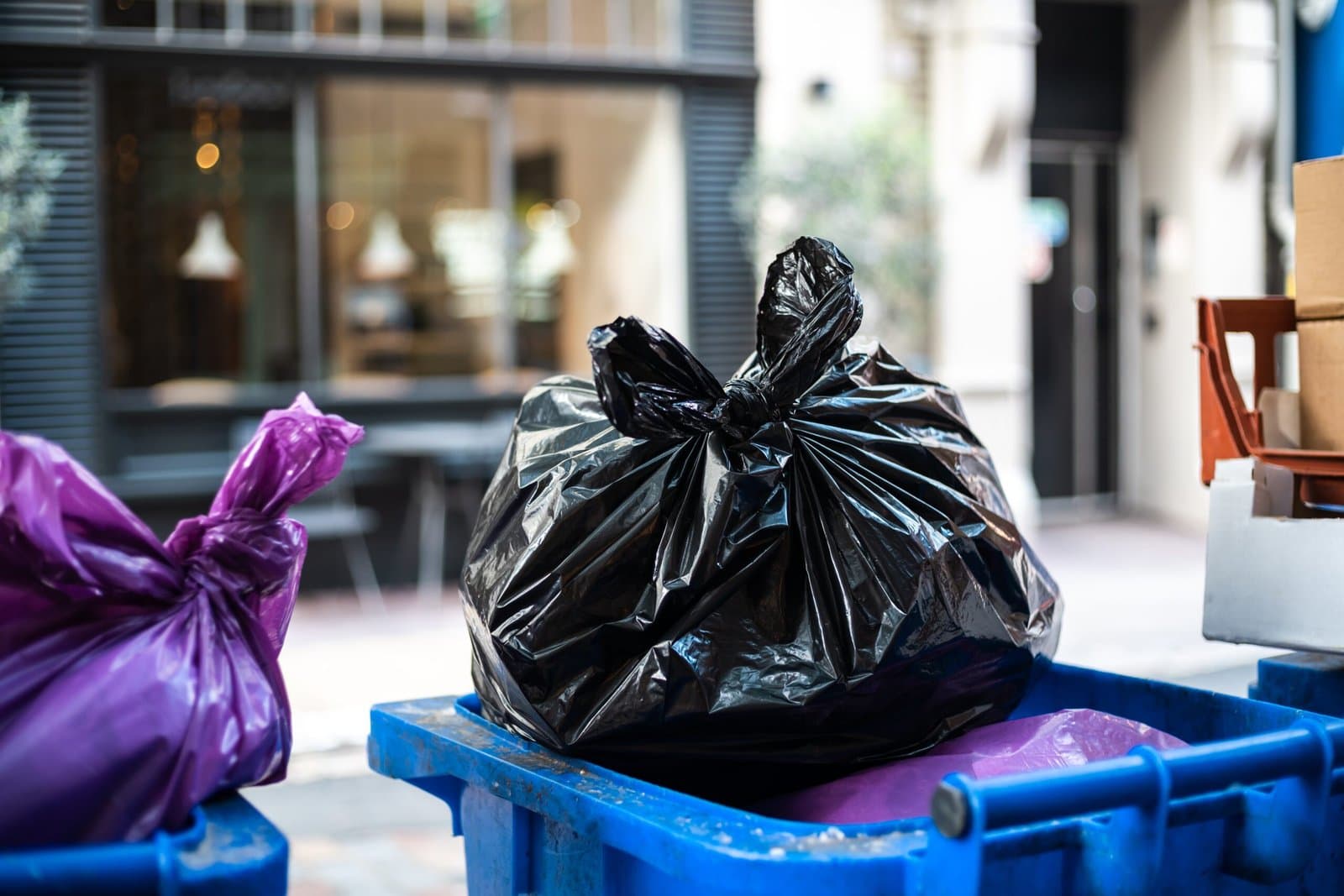由回收植物食用油制成的环保塑料