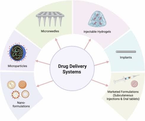 医疗保健原料需求:GLP-1 口服药物的扩张推动了 HPMC 和涂层壳的供应增加