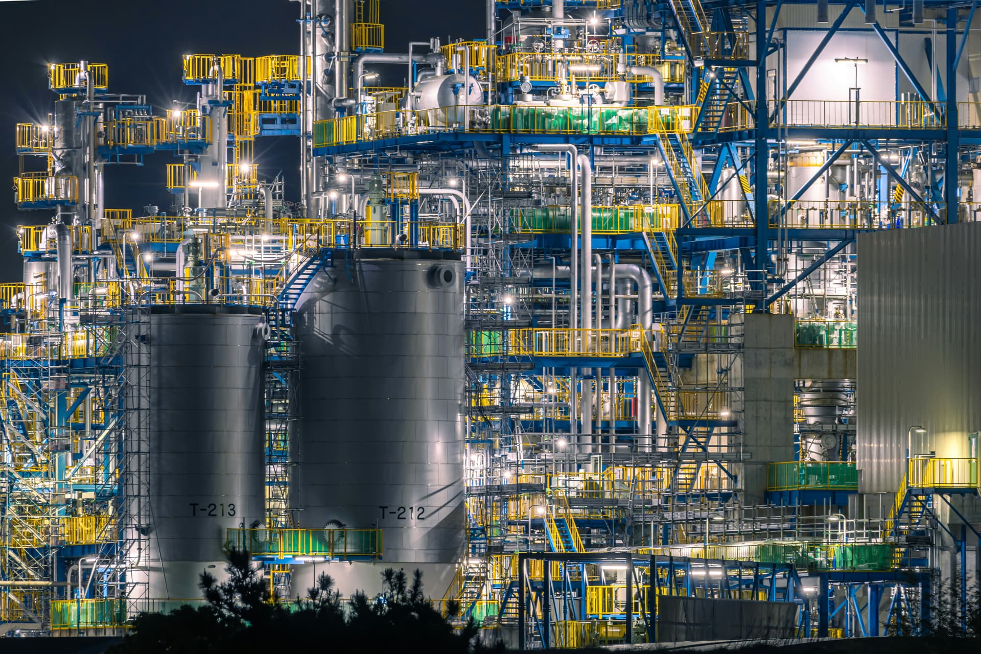 Renewable Feedstocks: Vegetable Oils vs. Petrochemicals