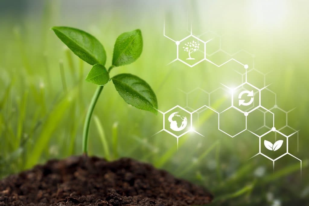 Biocombustibles