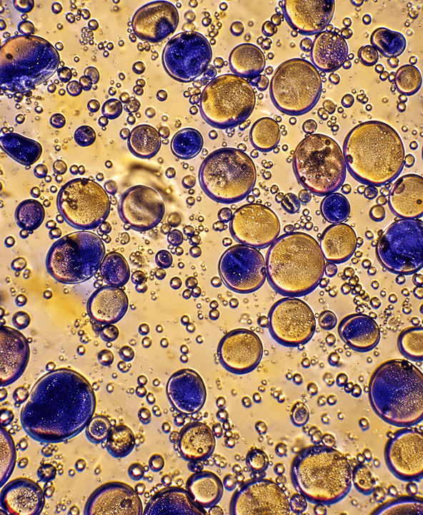 Starch