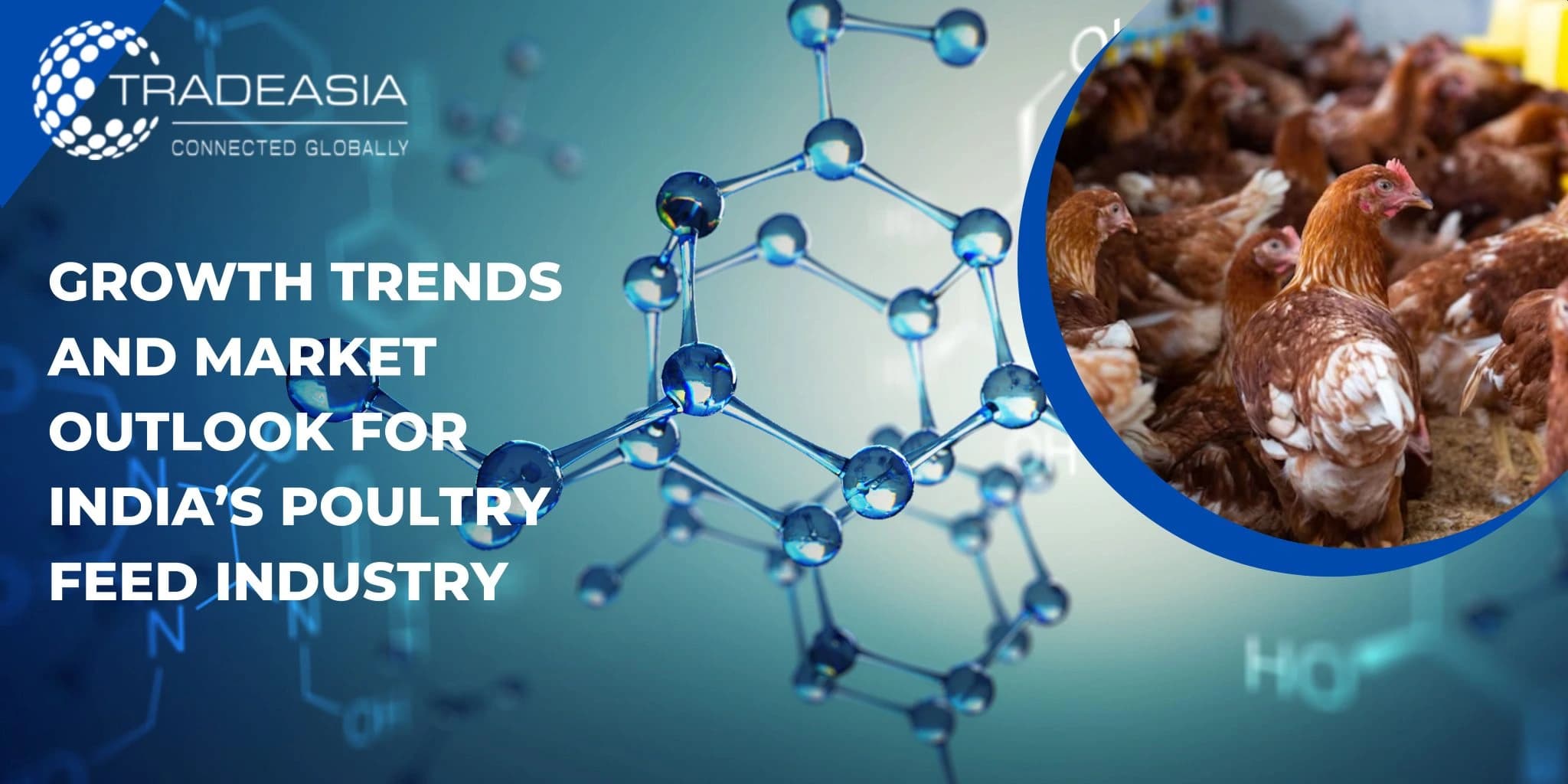 Growth Trends and Market Outlook for India’s Poultry Feed Industry