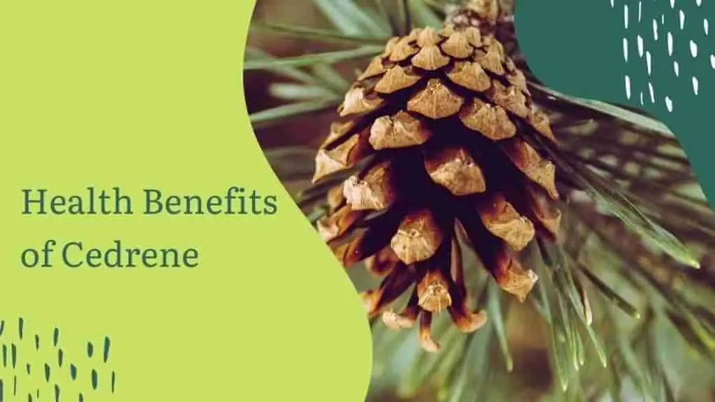 Health Benefits of Cedrene