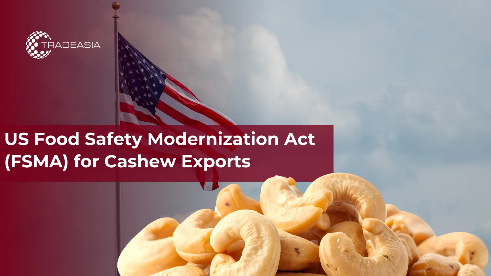 美国腰果出口食品安全现代化法案 (FSMA)