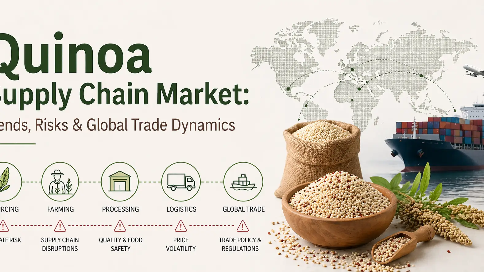 Mercado de la cadena de suministro de quinua: tendencias, riesgos y dinámica del comercio mundial