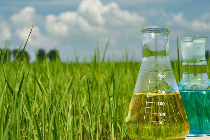 Bangladesh Ammonia Restart: Government Assessment and UN Food Security Update