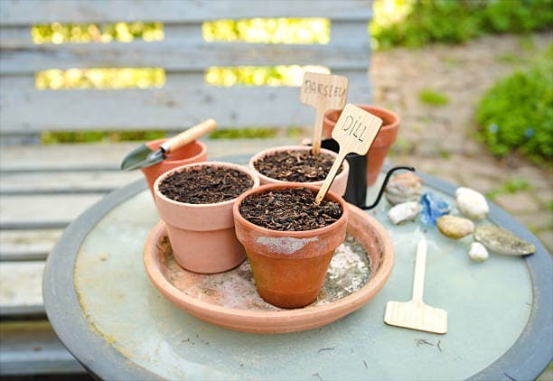 Upcycled Botanicals Enter Specialty Chemistry: The Sea‑Buckthorn Peptide Case
