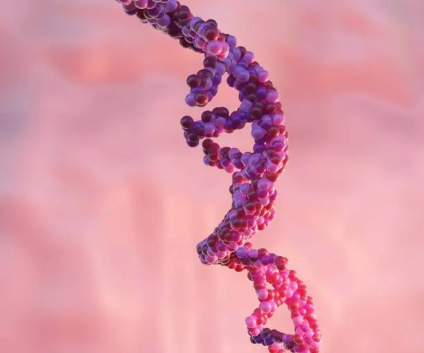 韩国原料药制造商转向RNA、ADC和肽以逃避中印价格战