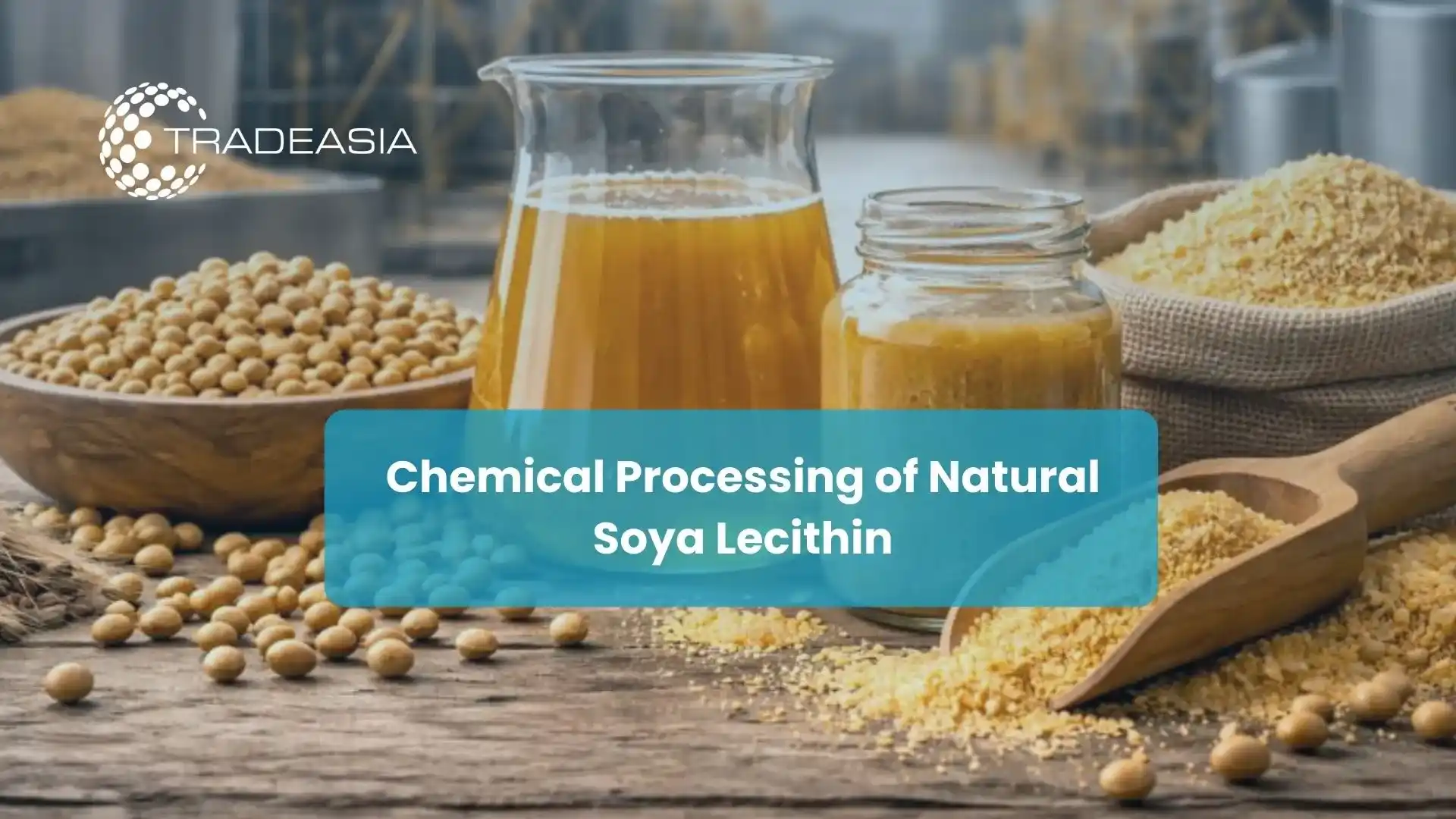 Soya Lecithin: A Vital Feed Ingredient Powering Asia's Growth