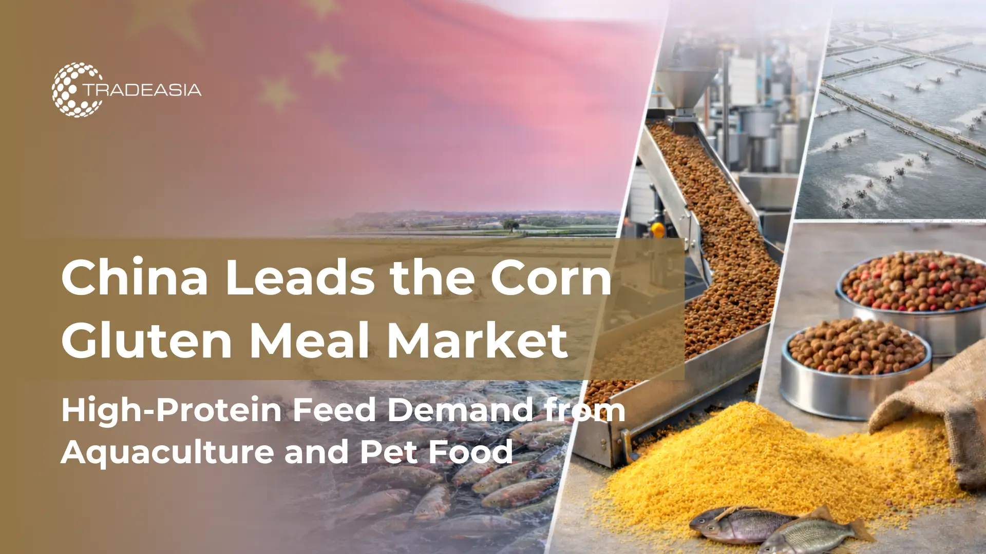 China’s Market Leadership and Corn Gluten Meal Demand in High-Protein Feed