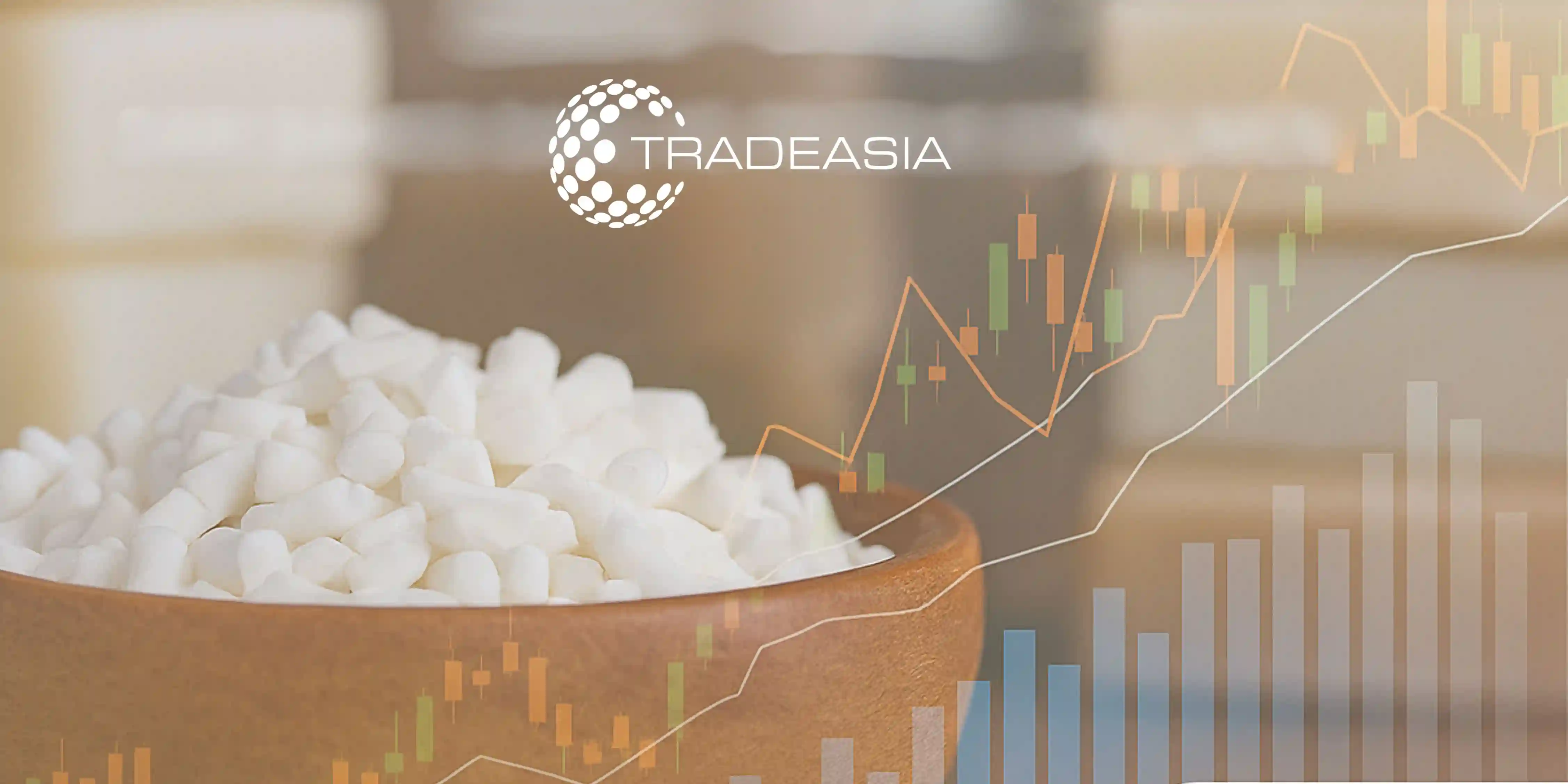 Soap Noodles Market Outlook 2025-2030 From Raw Materials to Consumer Products