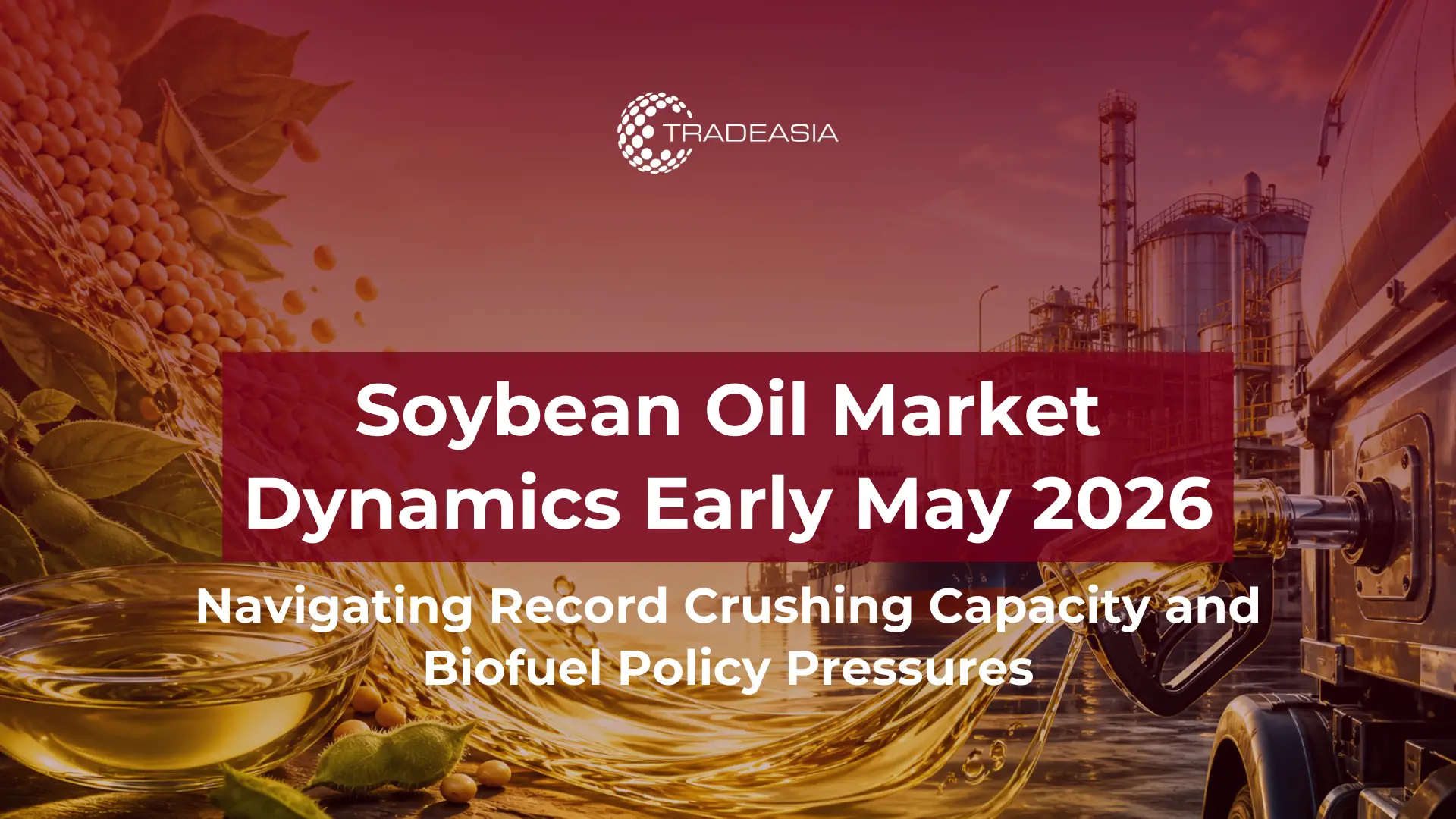 Soybean Oil Market Dynamics Early May 2026: Availability & Policy