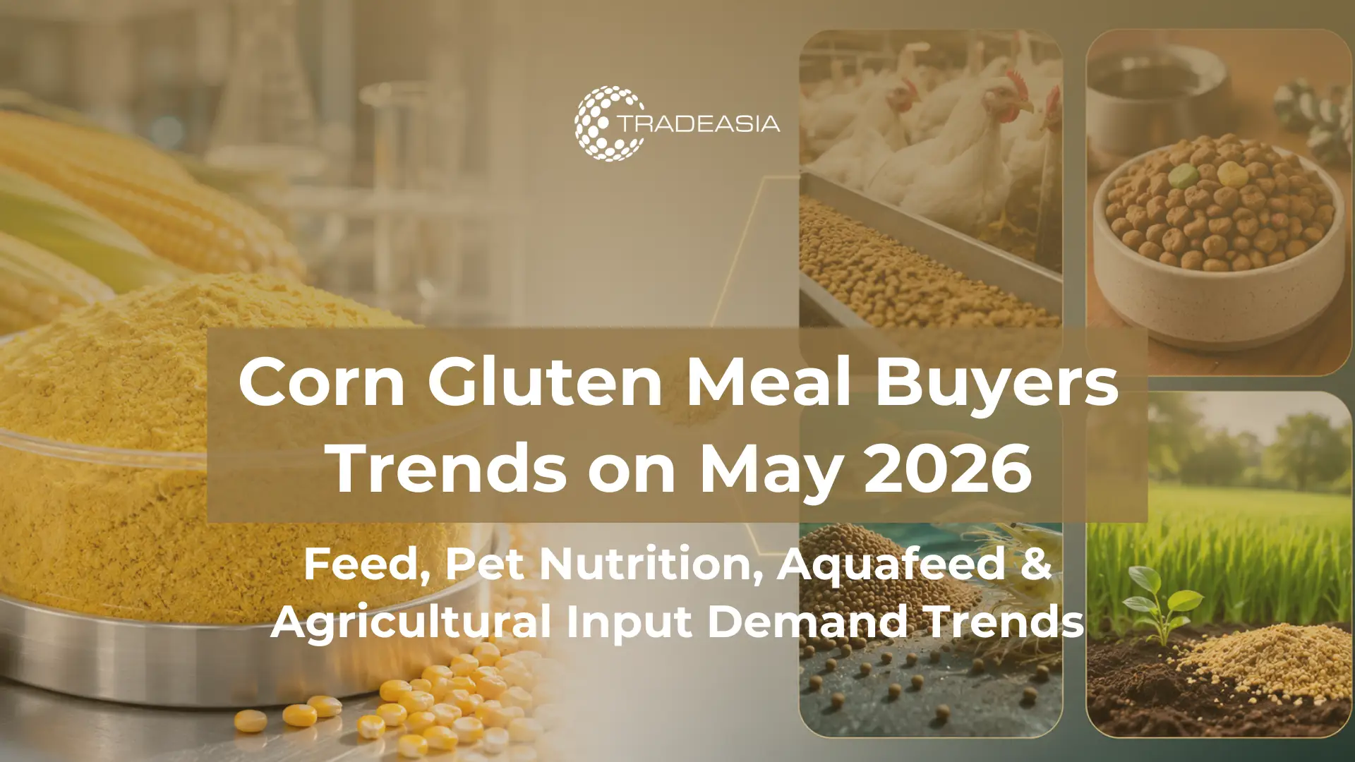 Who Buys Corn Gluten Meal in May 2026? Feed & Pet Trends