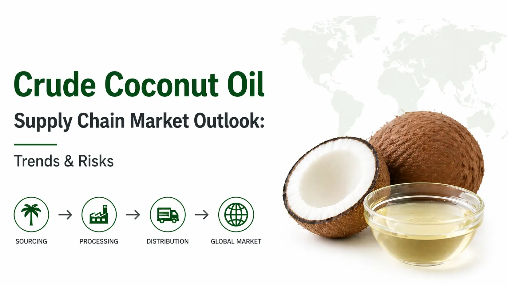 Crude Coconut Oil Supply Chain Market Outlook: Trends & Risks