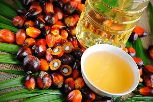زيت النخيل RBD