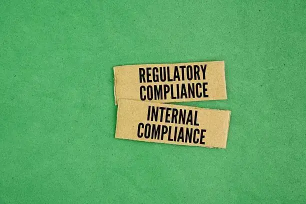Modified Starch: H1 REACH Compliance Review and July ECHA Update Preparation