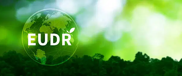 EUDR 执法最新情况:印度尼西亚棕榈化学品生产商面临风险