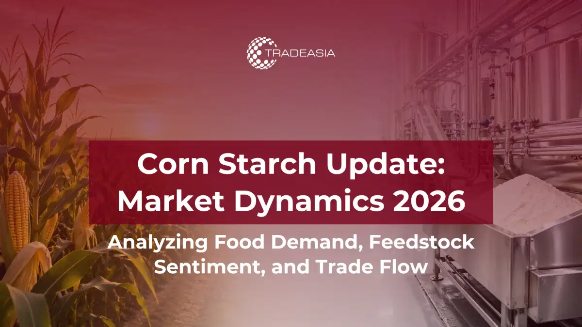 Corn Starch Market Dynamics 2026: Food Demand, Feedstock Sentiment & Trade Flow