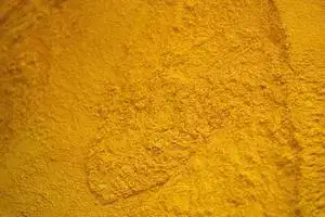 Corn Gluten Meal (60% Min Protein) - Indonesia