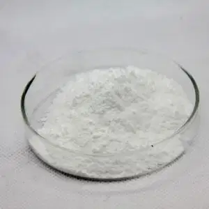 Purified Terephthalic Acid
