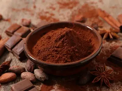 Polvo de cacao marrón oscuro alcalinizado